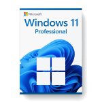 Windows 11 Pro